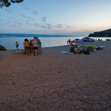 Marina Apartamento Mimice